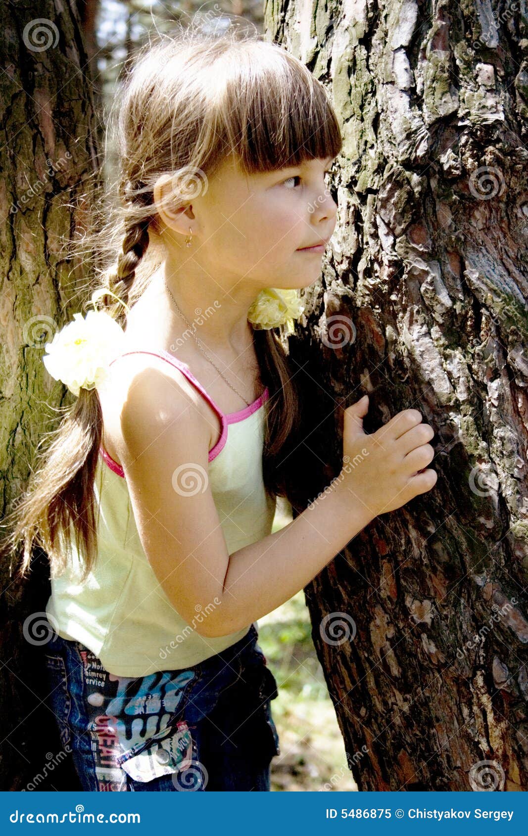 The little girl in wood. The little girl hides in wood behind a tree