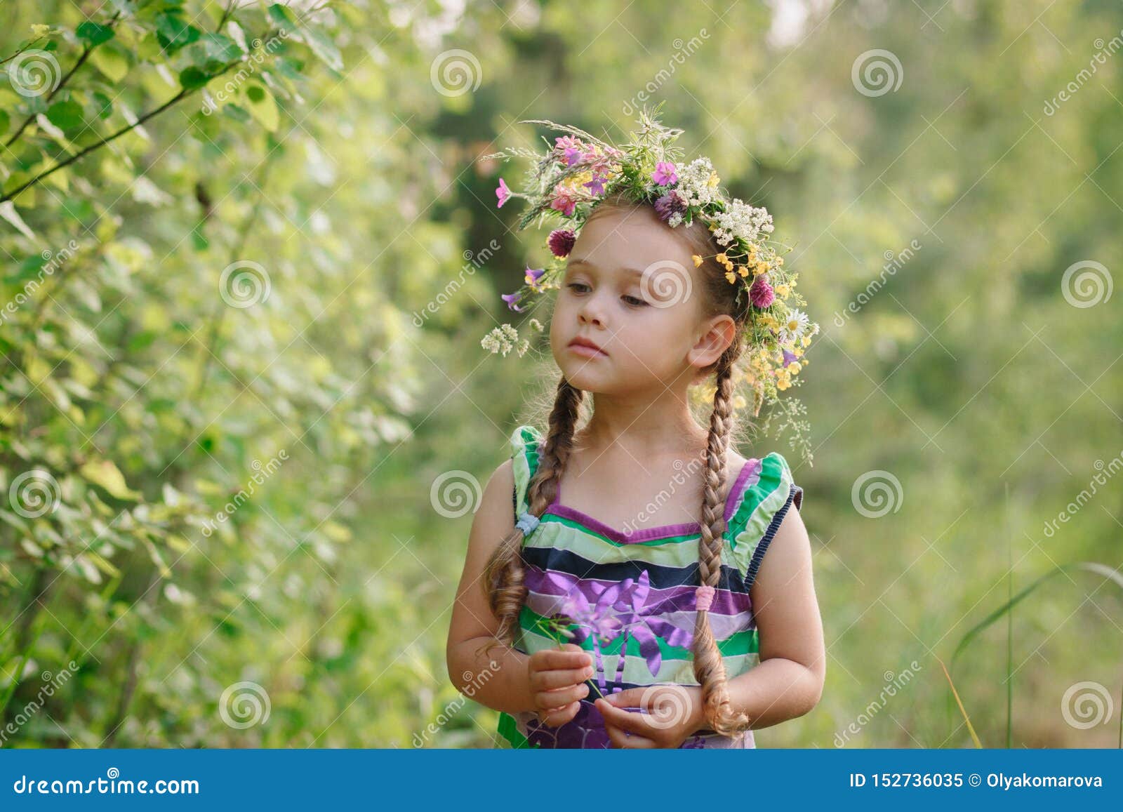 Little Girl in a Wreath of Wild Flowers in Summer Stock Image - Image ...