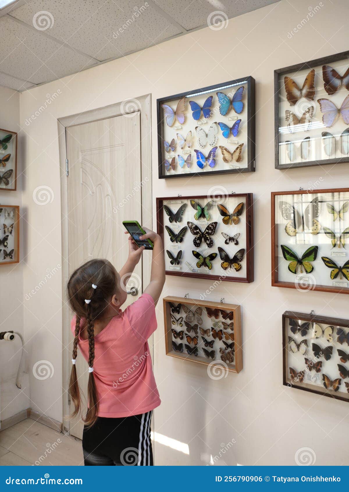 little girls take pictures on a mobile phone exhibits in the insectarium.