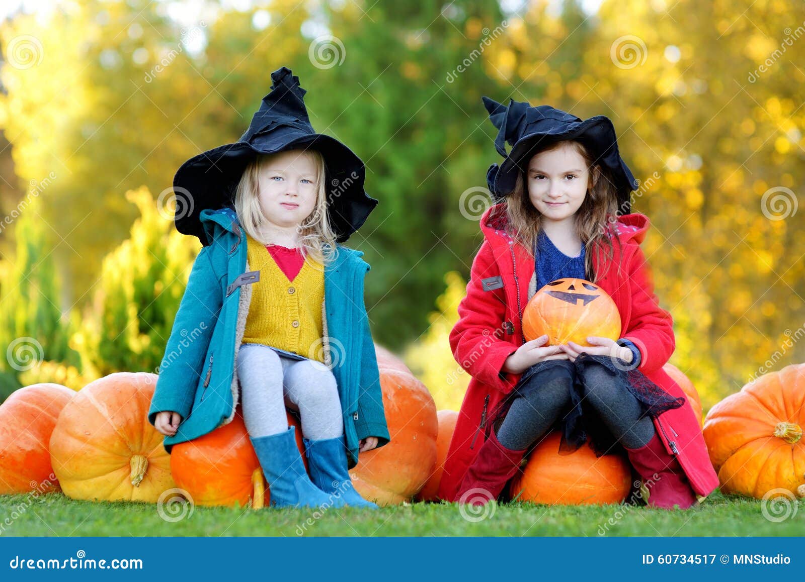 Little Girls Wearing Halloween Costume on a Pumpkin Patch Stock Image ...