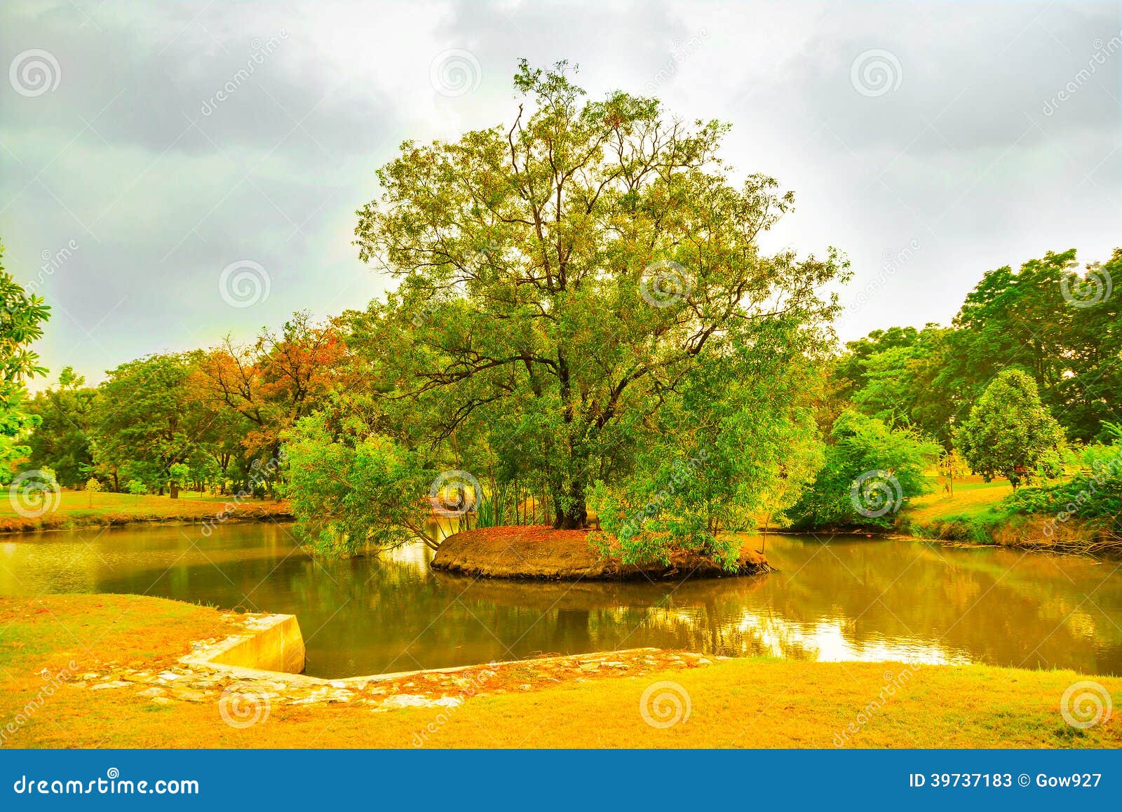 Little Green Isle in the Park Stock Image Image of lake, forest 39737183