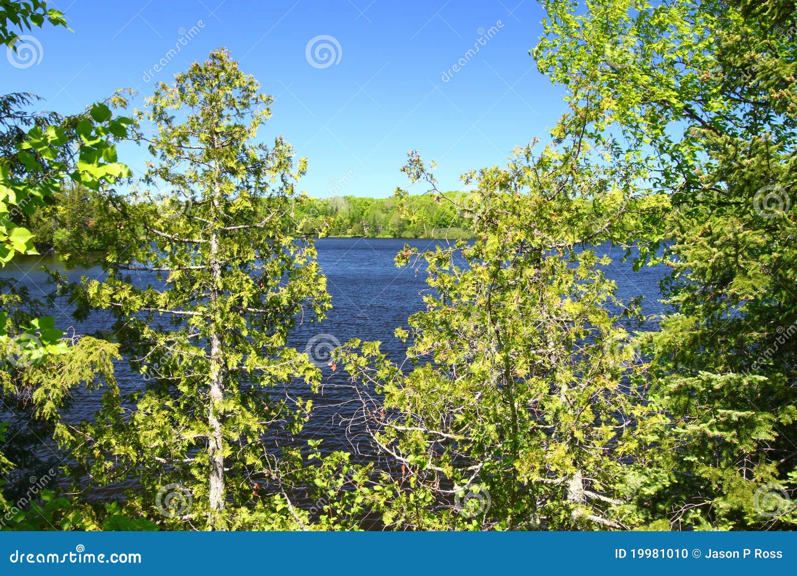 Little Horsehead Lake Wisconsin Stock Photo Image of bright, vilas