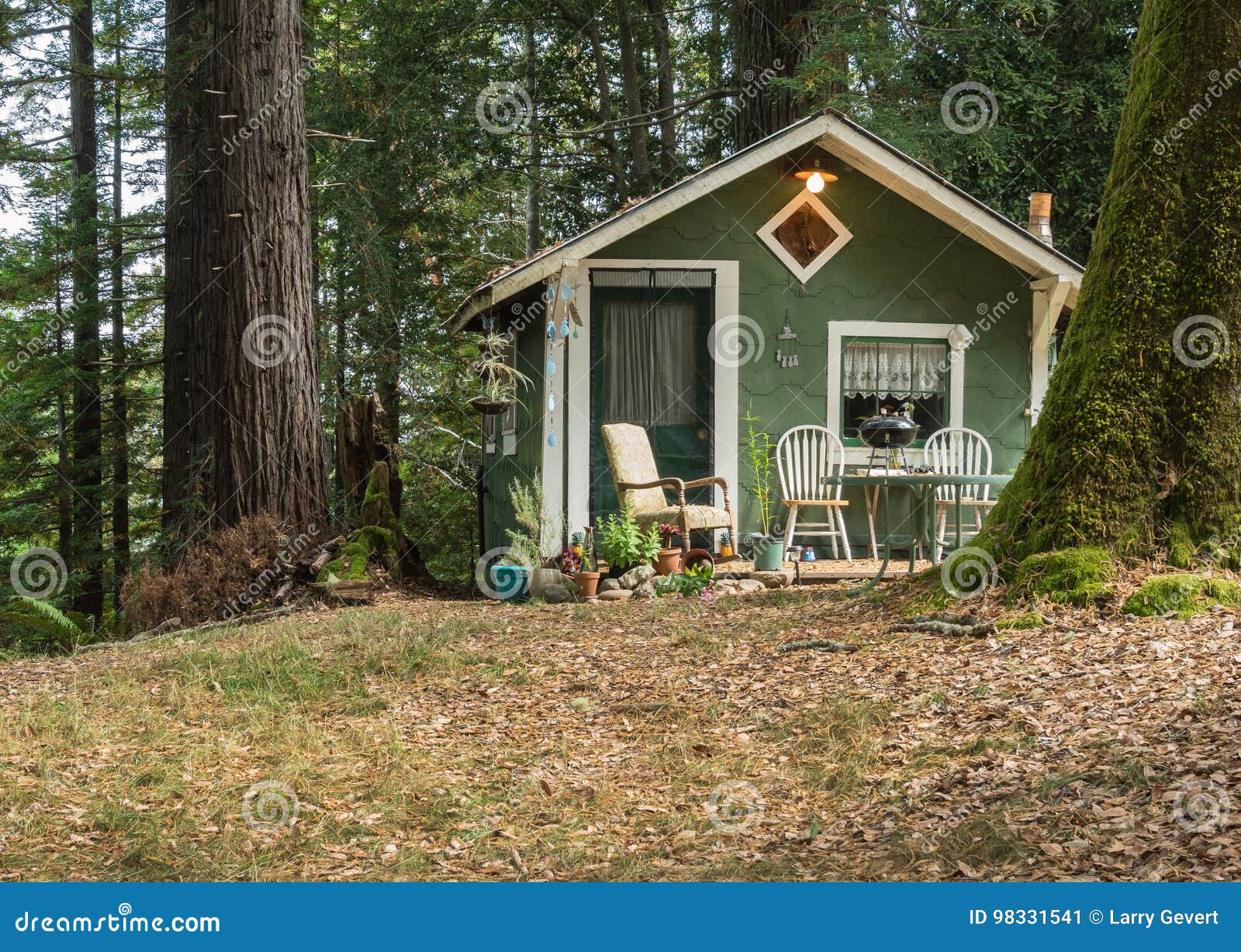  Little  house  in the forest  stock image Image of home 98331541