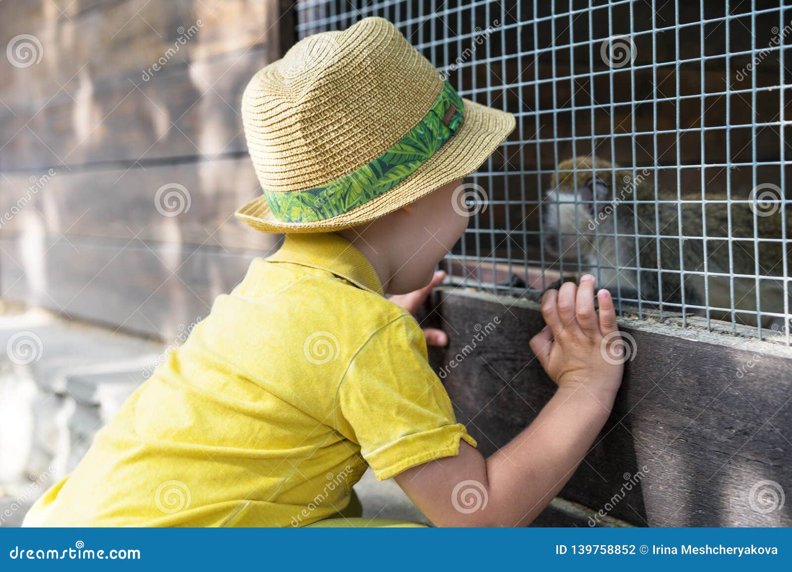 Download Little Kid Boy Watching Animal Cage Zoo. Happy Child ...