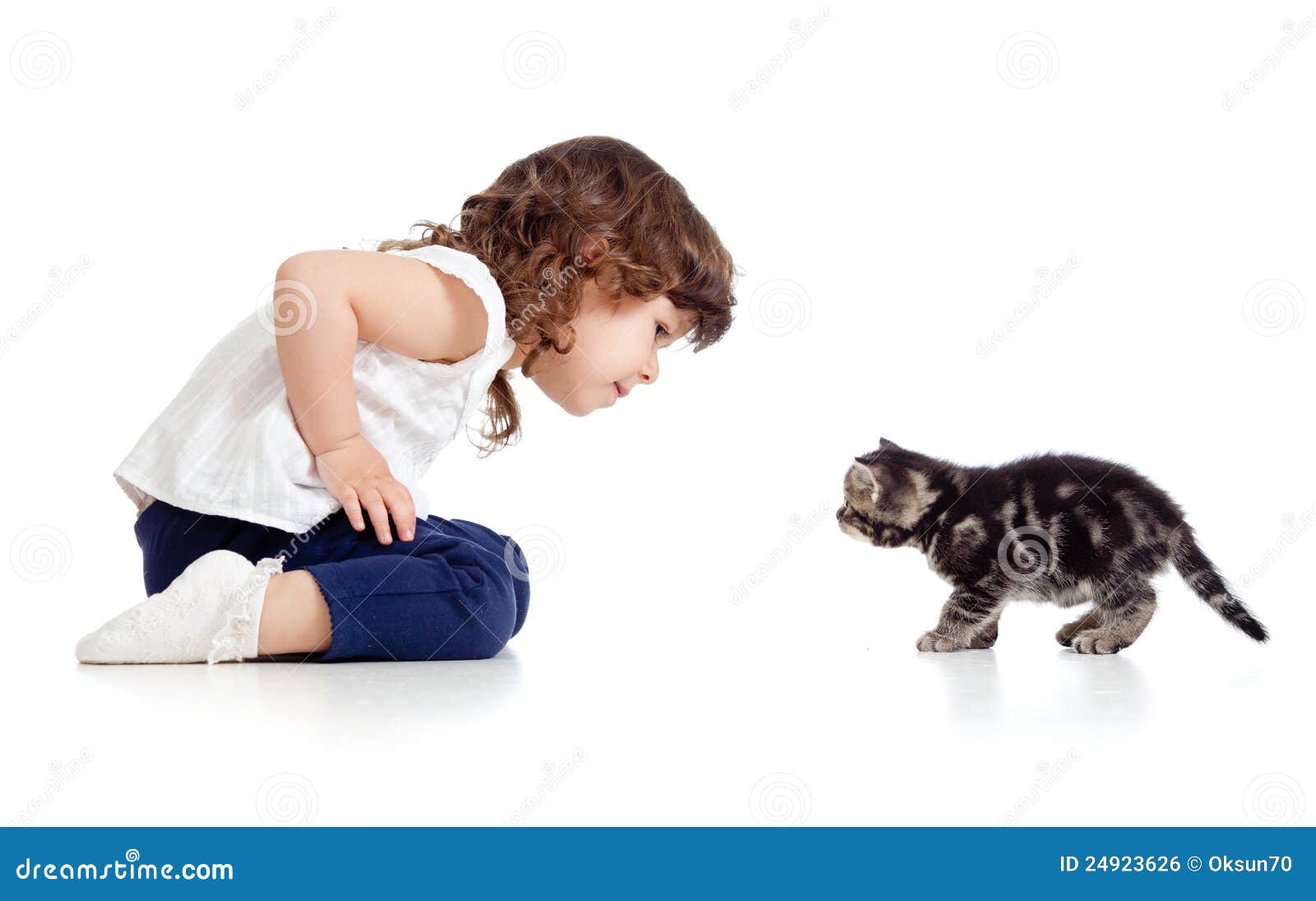 Little Kid And Cat Looking At Each Other On White Stock Photo Image