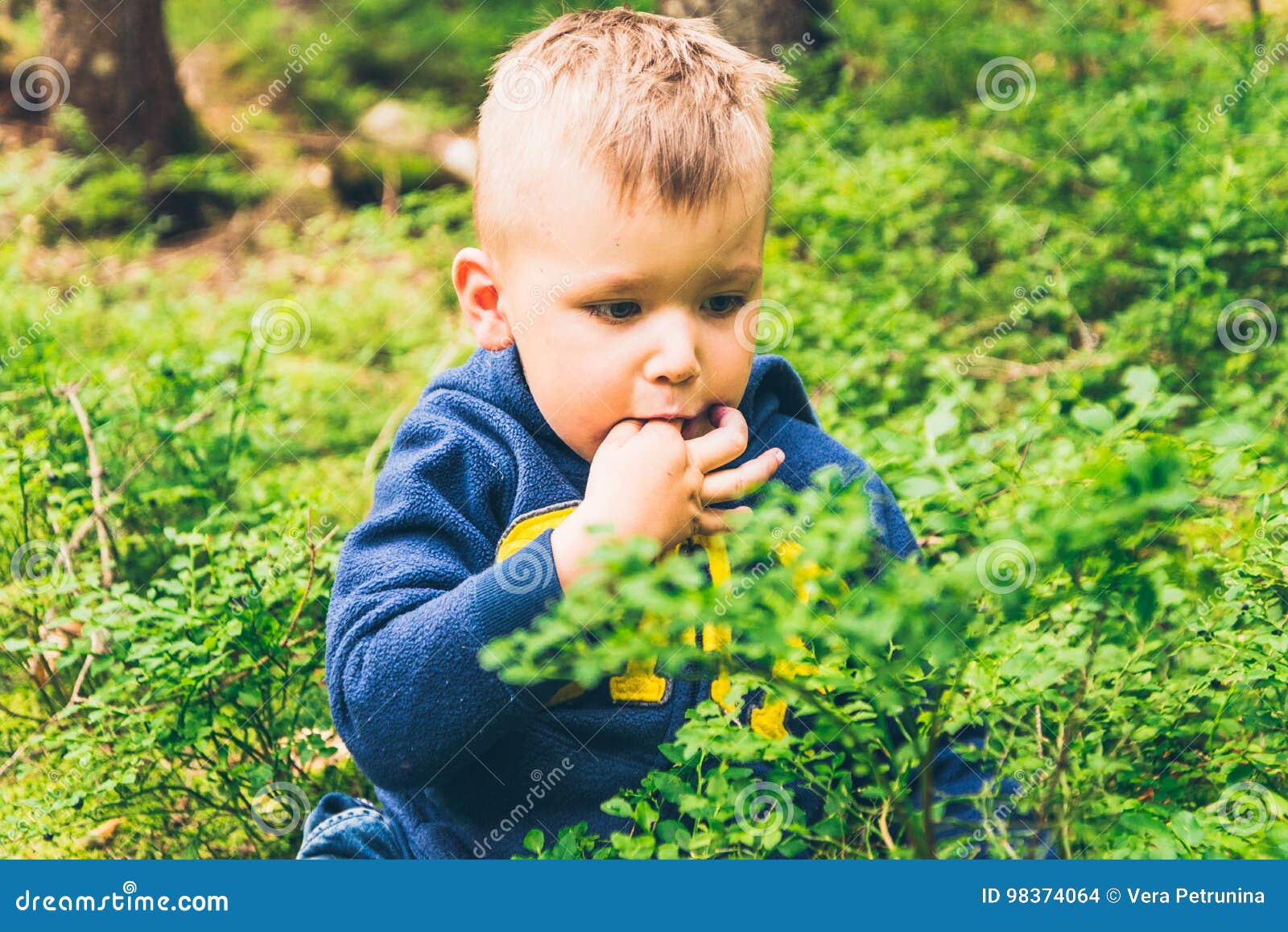 Little Kid Eat Blueberry in the Forest Stock Photo Image of language