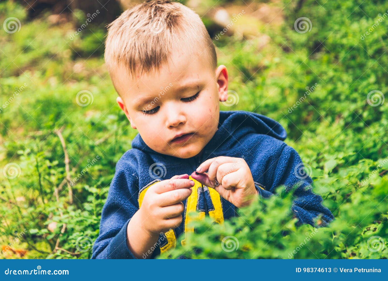 Little Kid Eat Blueberry in the Forest Stock Image Image of idiom, filthy 98374613