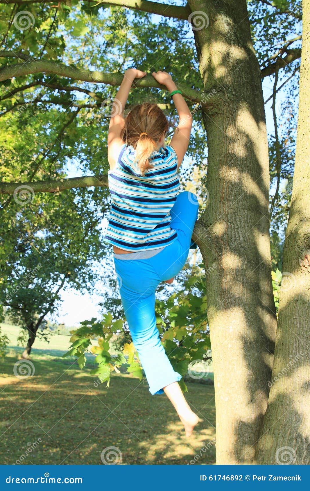 Little Kid - Girl Climbing on Tree Stock Photo - Image of sport