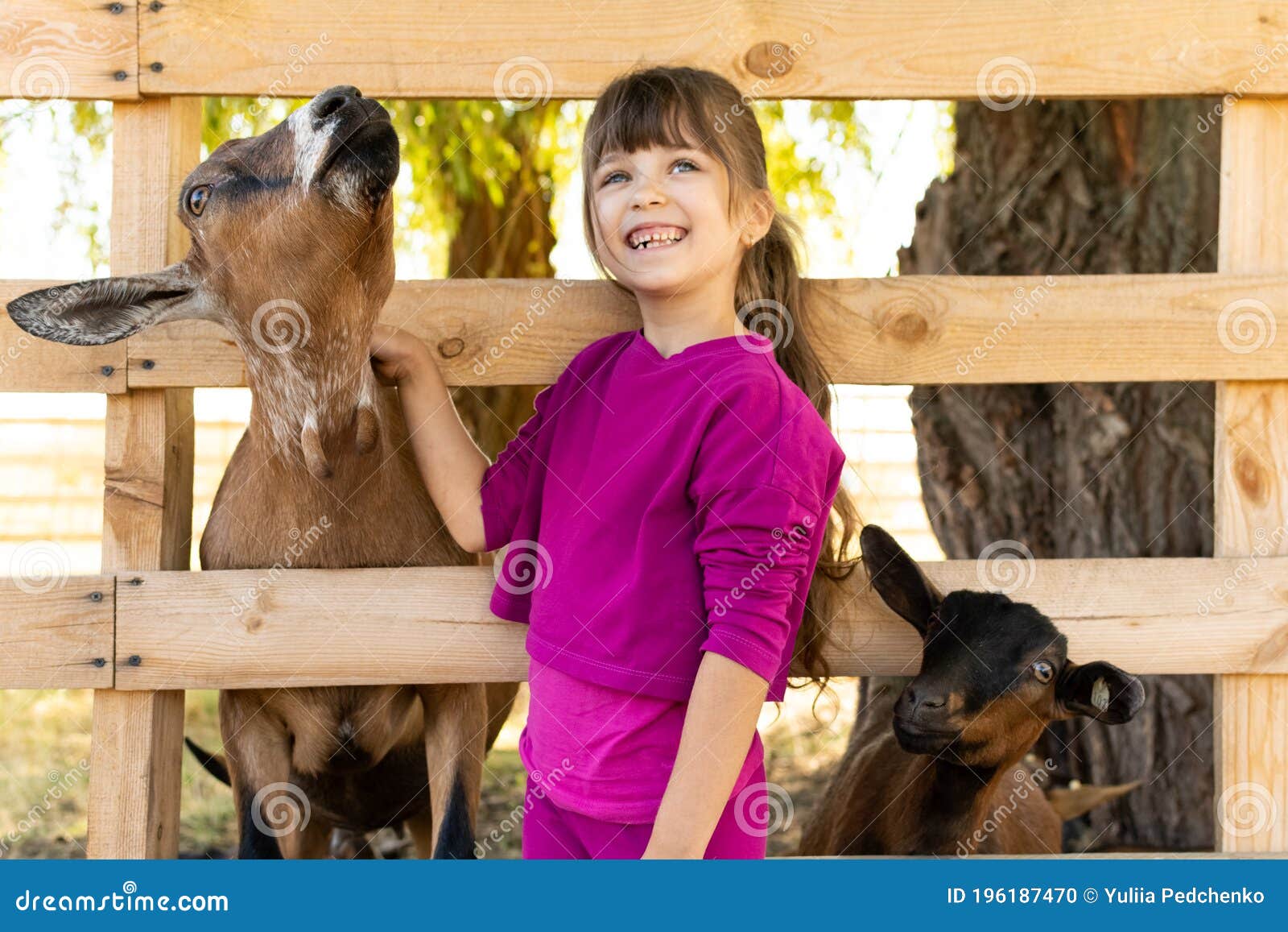 Little Kid Girl with Domestic Goat. Zoo, Farm, Love Animal Concept. Stock  Photo - Image of breed, outdoor: 196187470