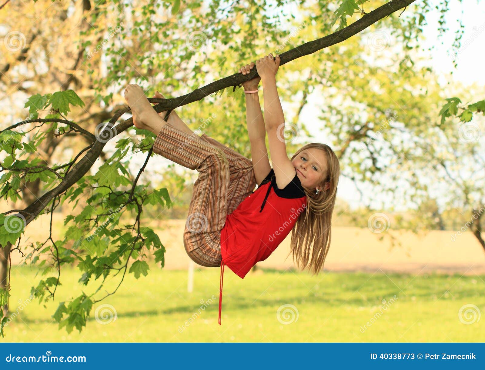 https://thumbs.dreamstime.com/z/little-kid-girl-hanging-branch-smiling-thin-tree-40338773.jpg