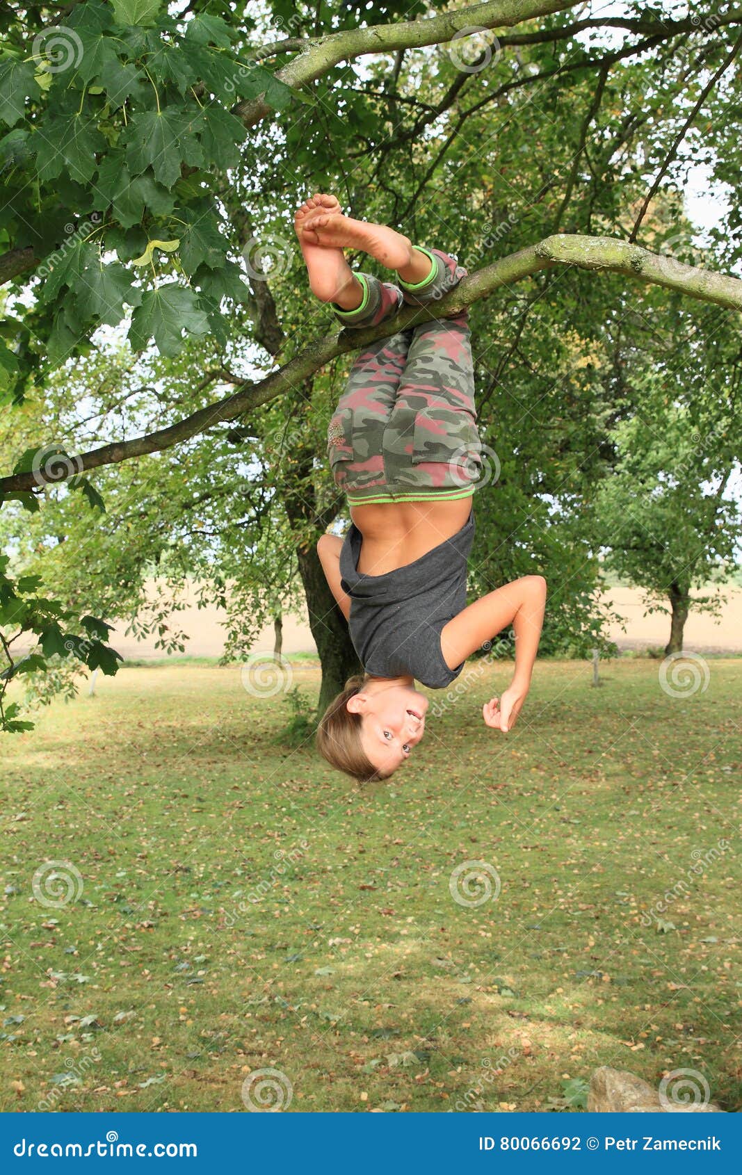 https://thumbs.dreamstime.com/z/little-kid-girl-hanging-branch-strong-thin-tree-legs-80066692.jpg