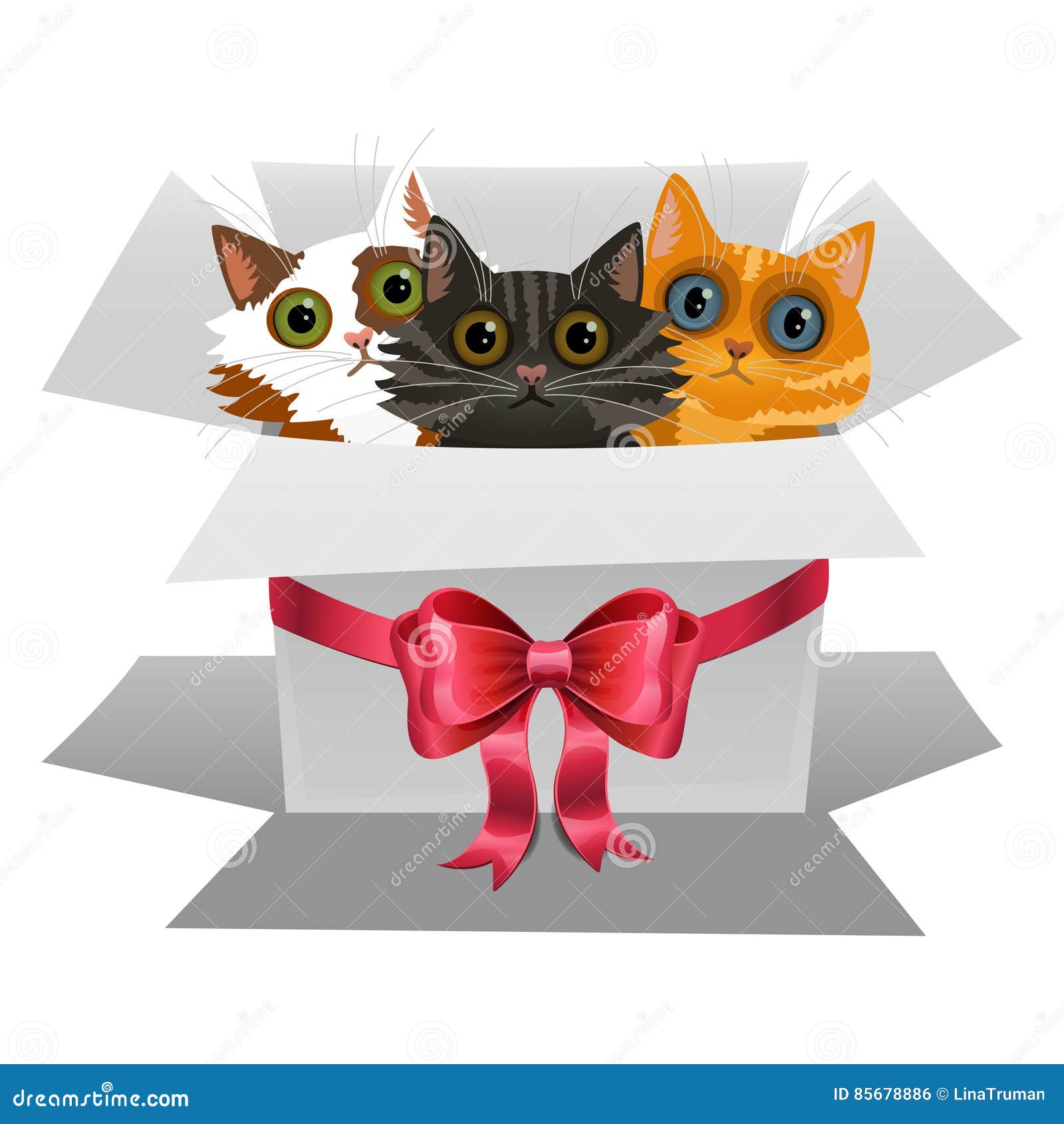 Little Kittens in a White Gift Box with Red Bow. Three Cats Stock