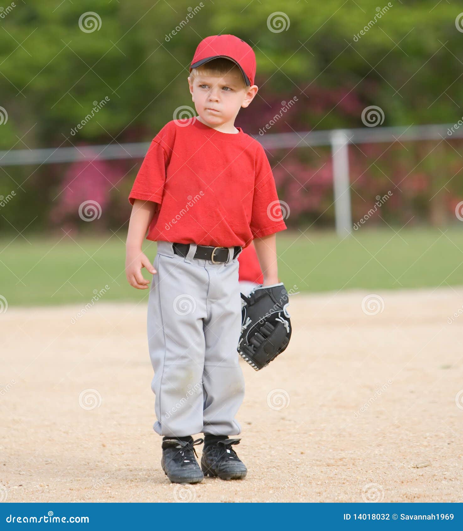 Little League Baseball Player Stock Photo Image of infield, little