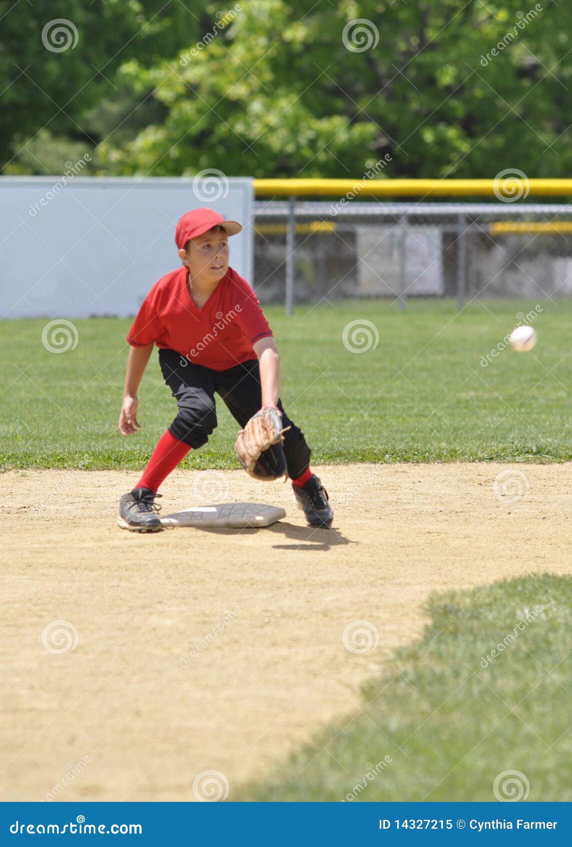 Little League Baseball Player Stock Image Image of athletic