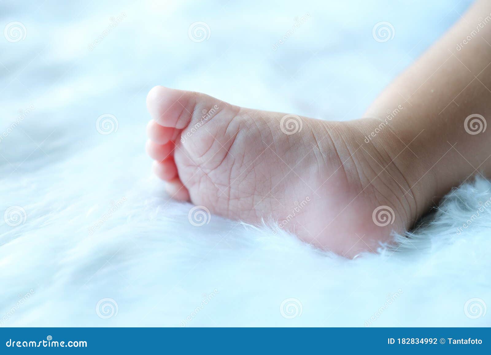 Little Legs Of A Newborn Baby Feet Shot Close Up Stock Photo Image