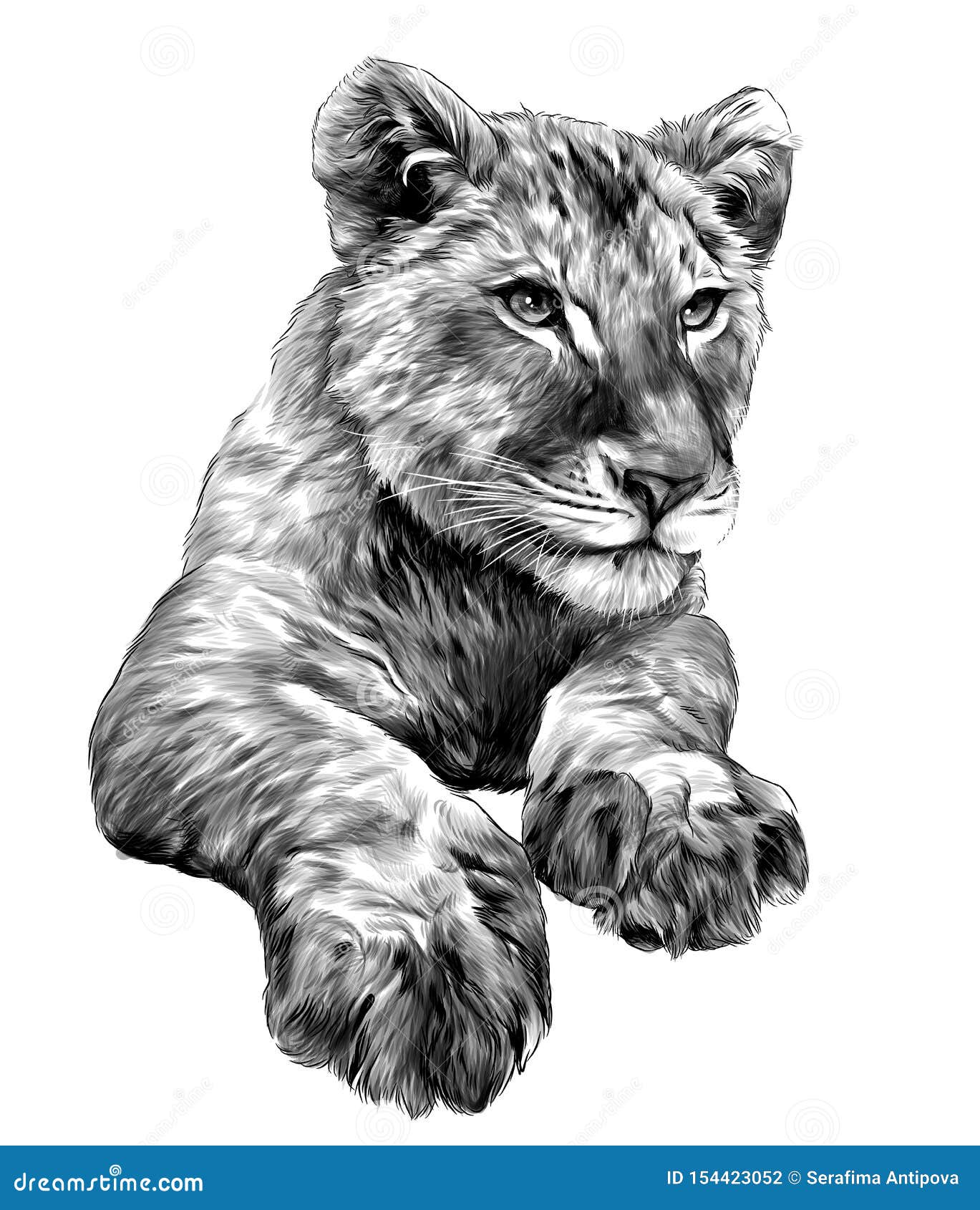 Cute Little Lion Cub Face Hand Drawn Sketch in Doodle Style Vector  Illustration Stock Photo  Image of king white 285983078