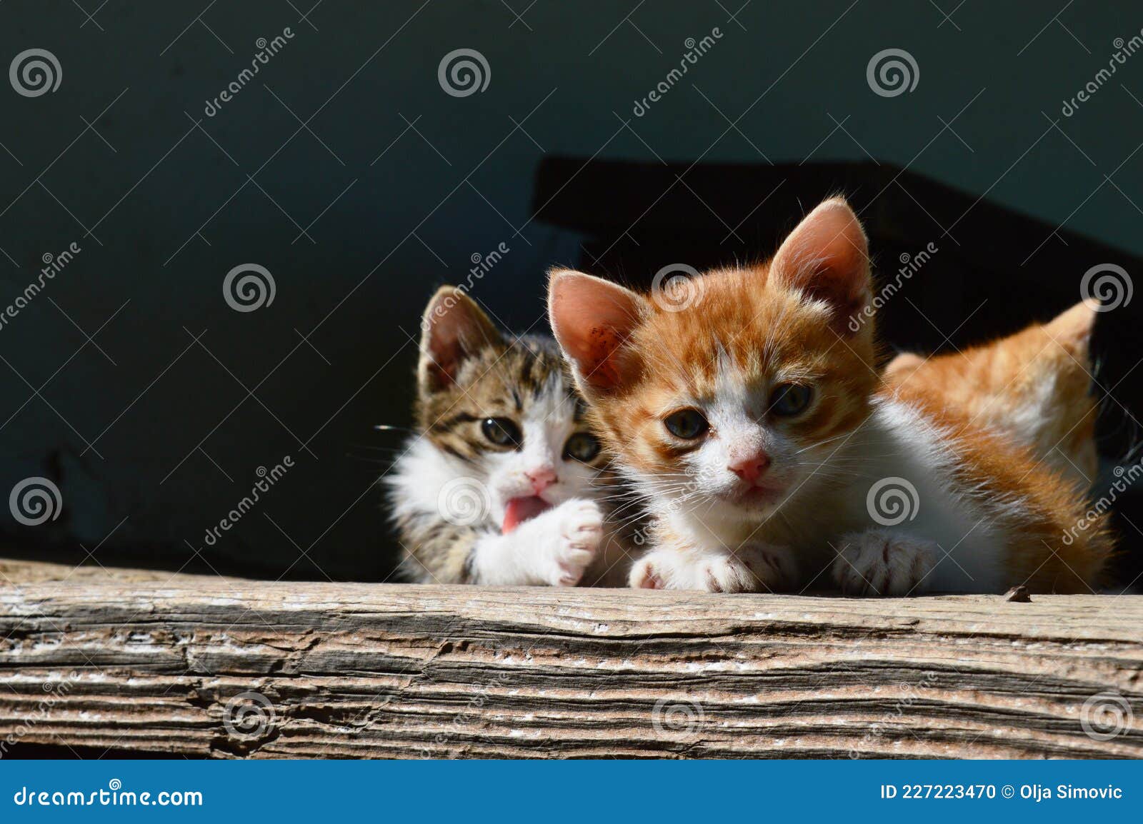 little machetes on the porch