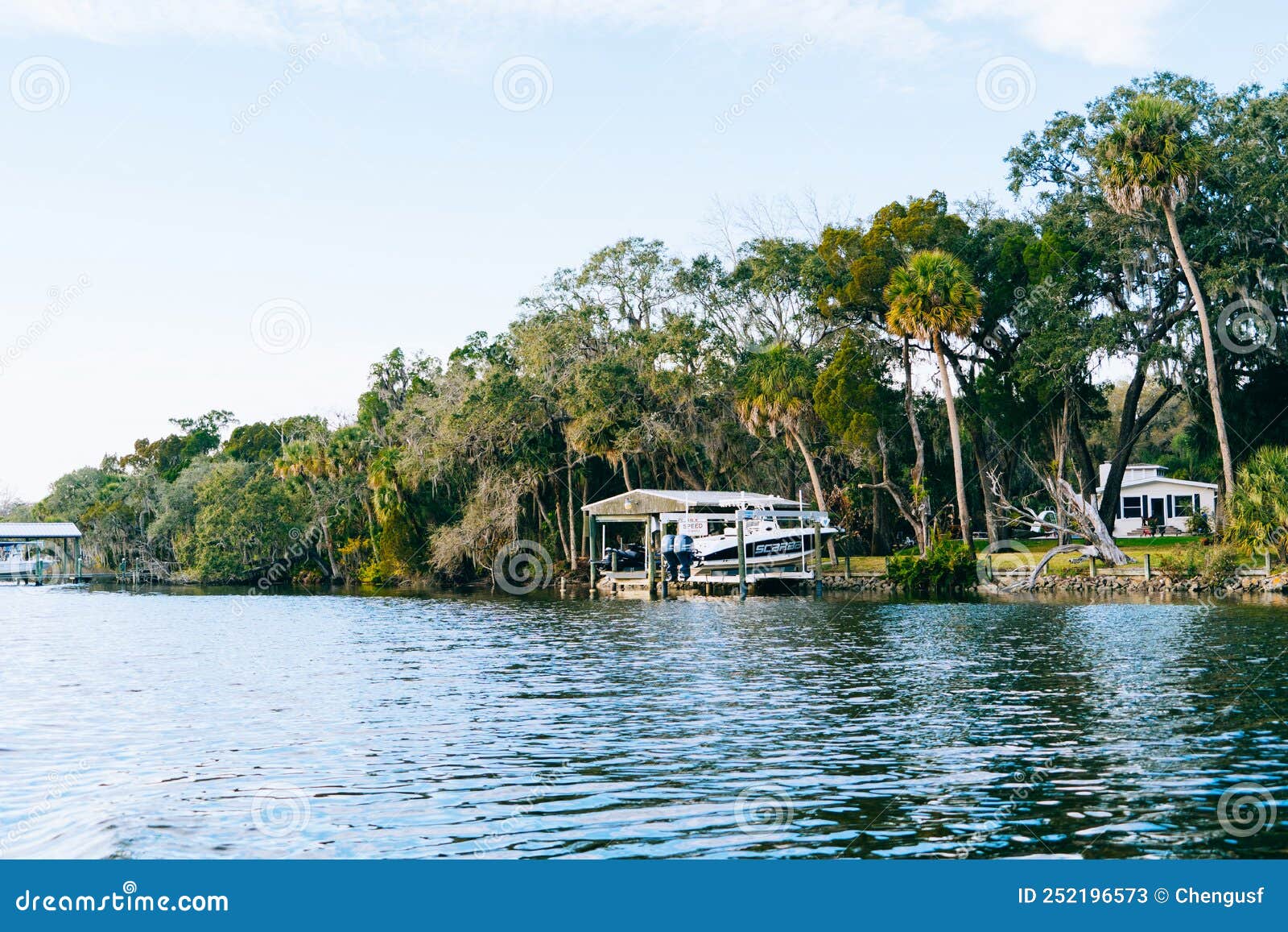 Little Manatee River stock image. Image of nature, rent 252196573