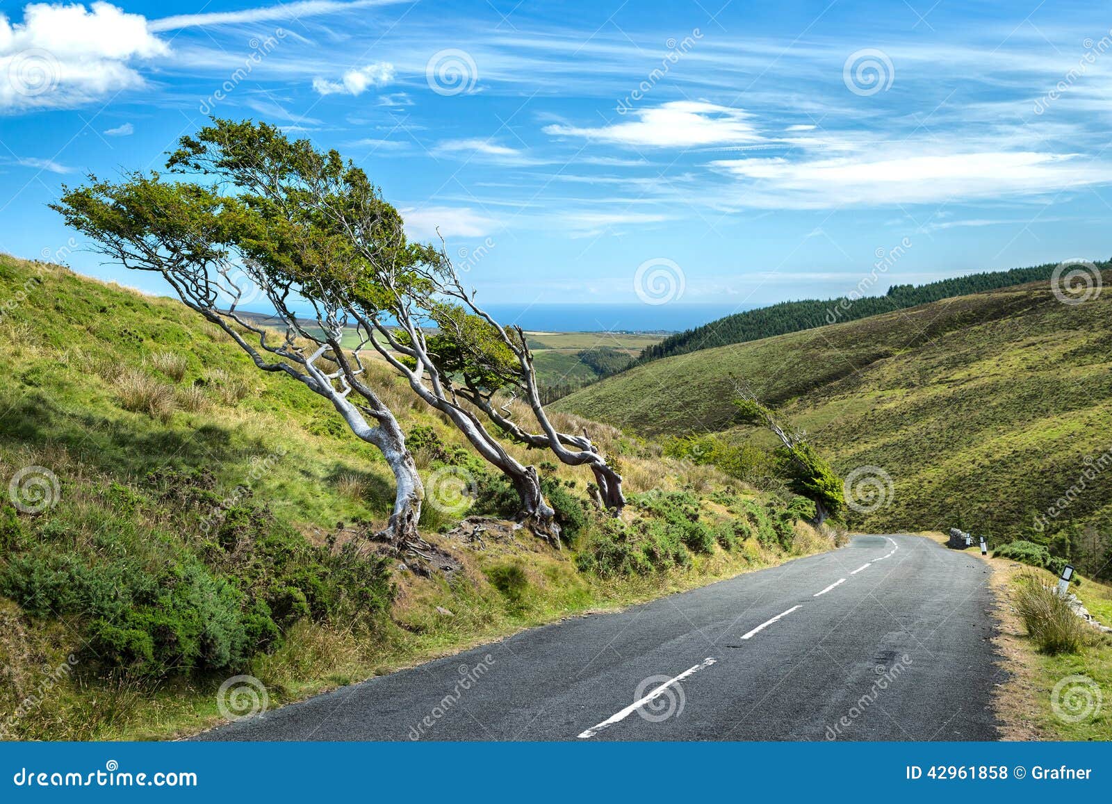 Little mountain road stock photo. Image of view, asphalt 42961858