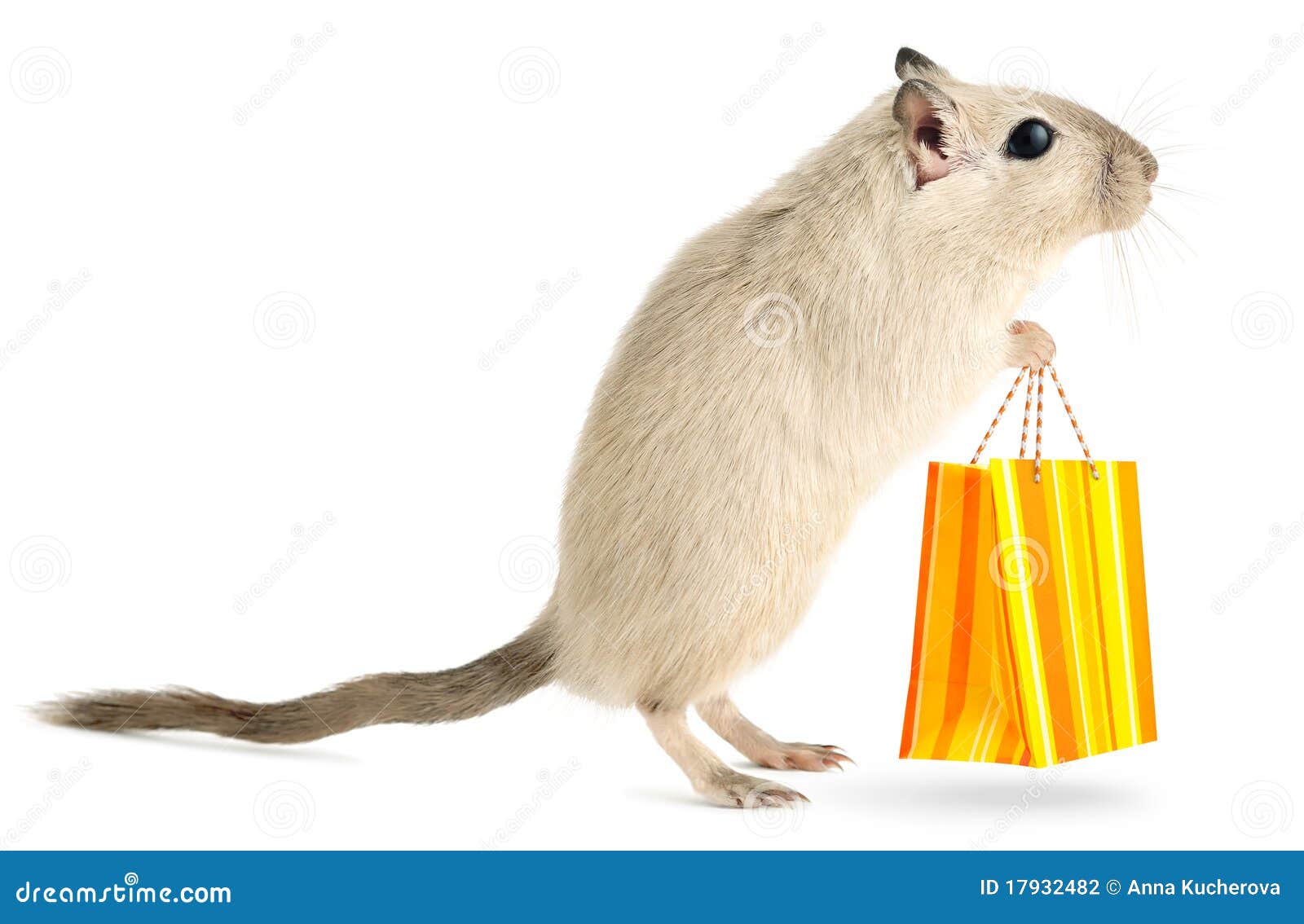 Little Mouse Goes Shopping Stock Photography Image 17932482