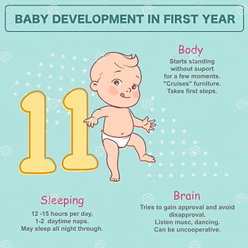 Little Newborn Baby of 11 Month. Development Infographics Stock Vector ...