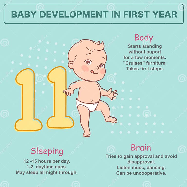 Little Newborn Baby of 11 Month. Development Infographics Stock Vector ...