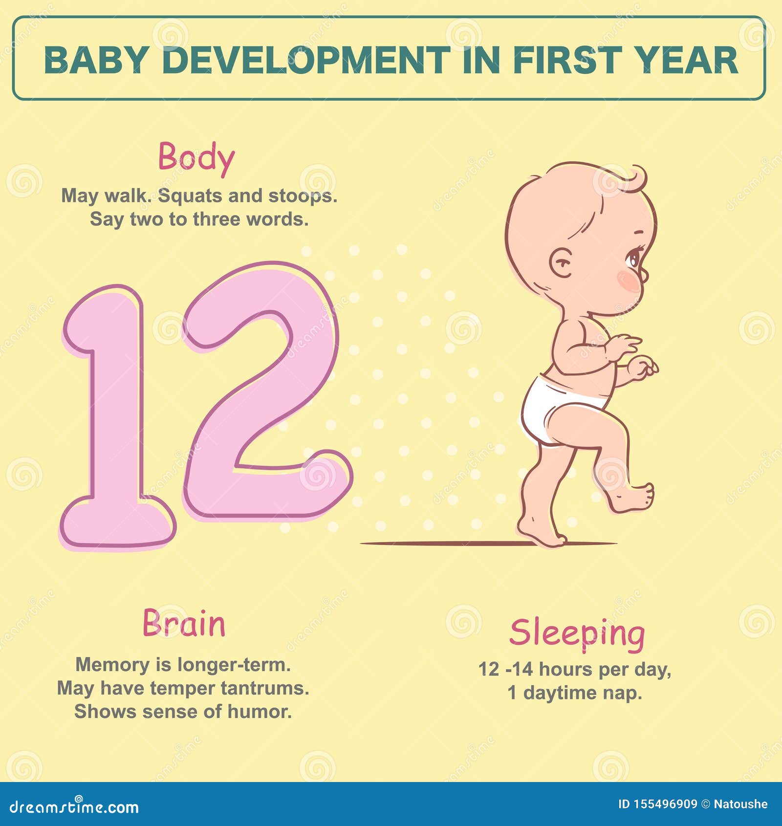 Baby First 12 Months Development
