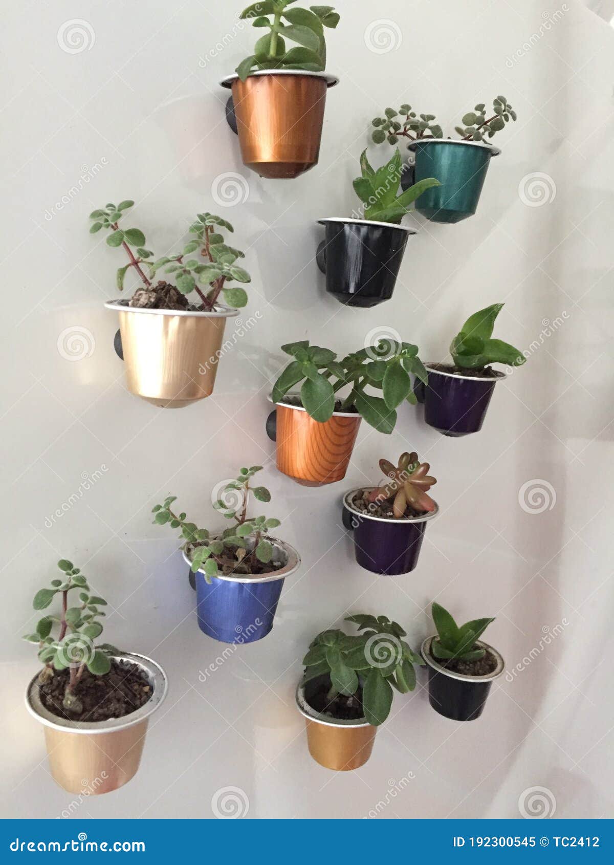 little plants