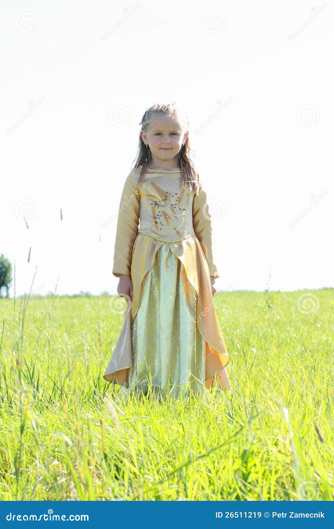 Little Princess on a Meadow Stock Image Image of blondie, grass 26511219