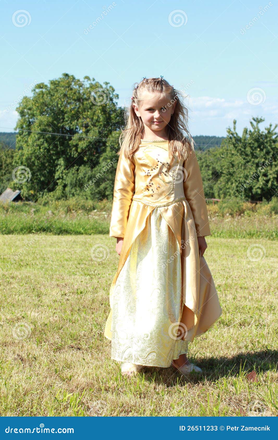 Little Princess on a Meadow Stock Image Image of young, tree 26511233