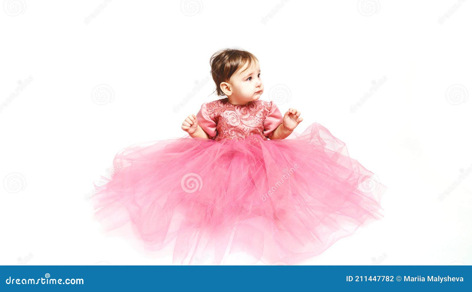 Little Princess. Portrait of a Cute Baby 9 Months Old in an ...
