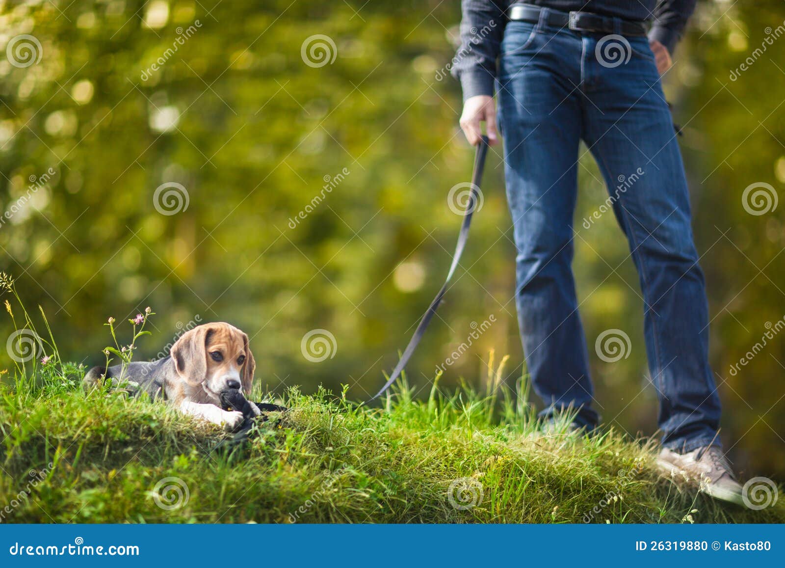 Guy with a cute little puppy on a leash.