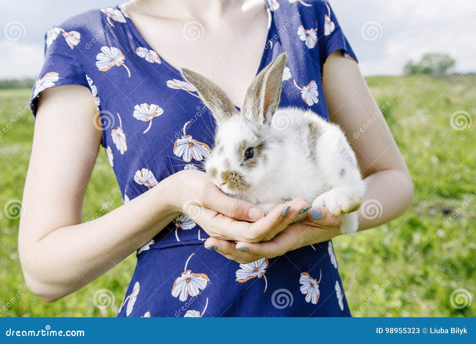 little rabbit, black and white suit, a bunny eating a green grass, a pet in a wooden box.