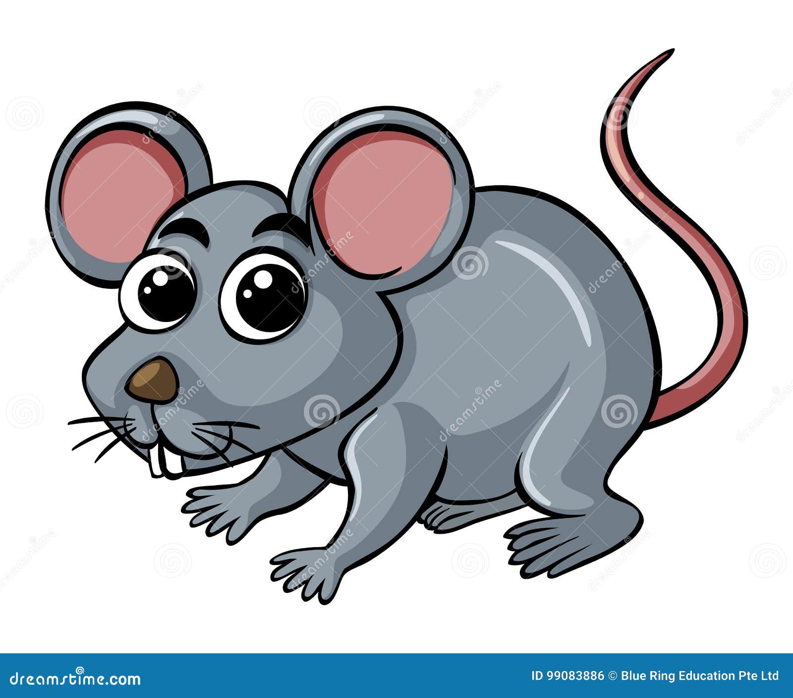 Little Rat On White Background Stock Vector Illustration Of Mammal Wildlife 9906 Little Rat On White Background Stock Vector Illustration Of Mammal Wildlife 9906