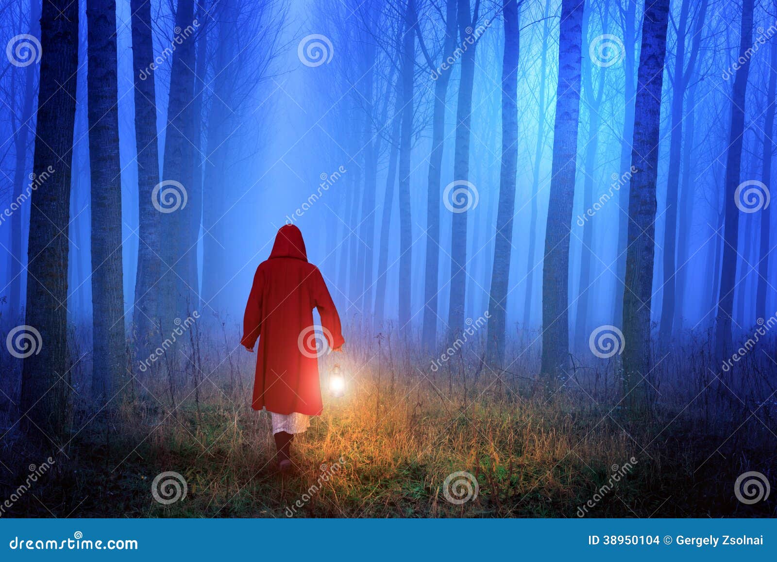 little red riding hood in the forest