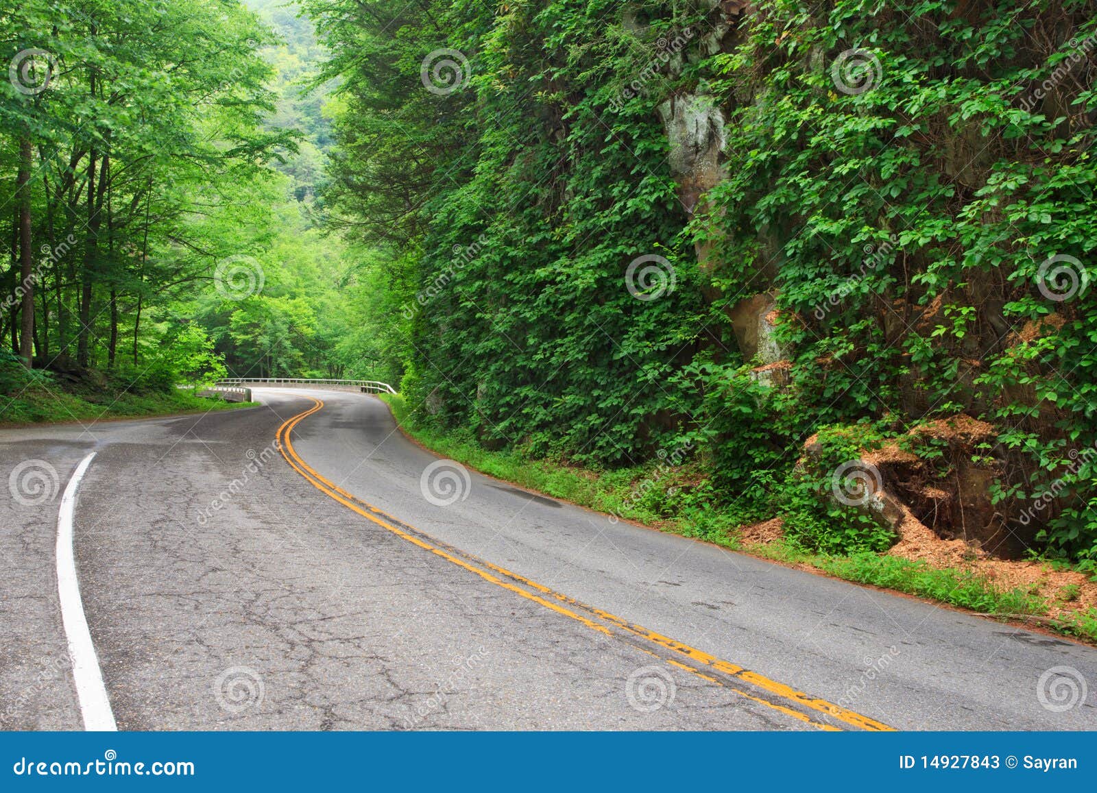 Little River Road stock image. Image of leaves, spring 14927843