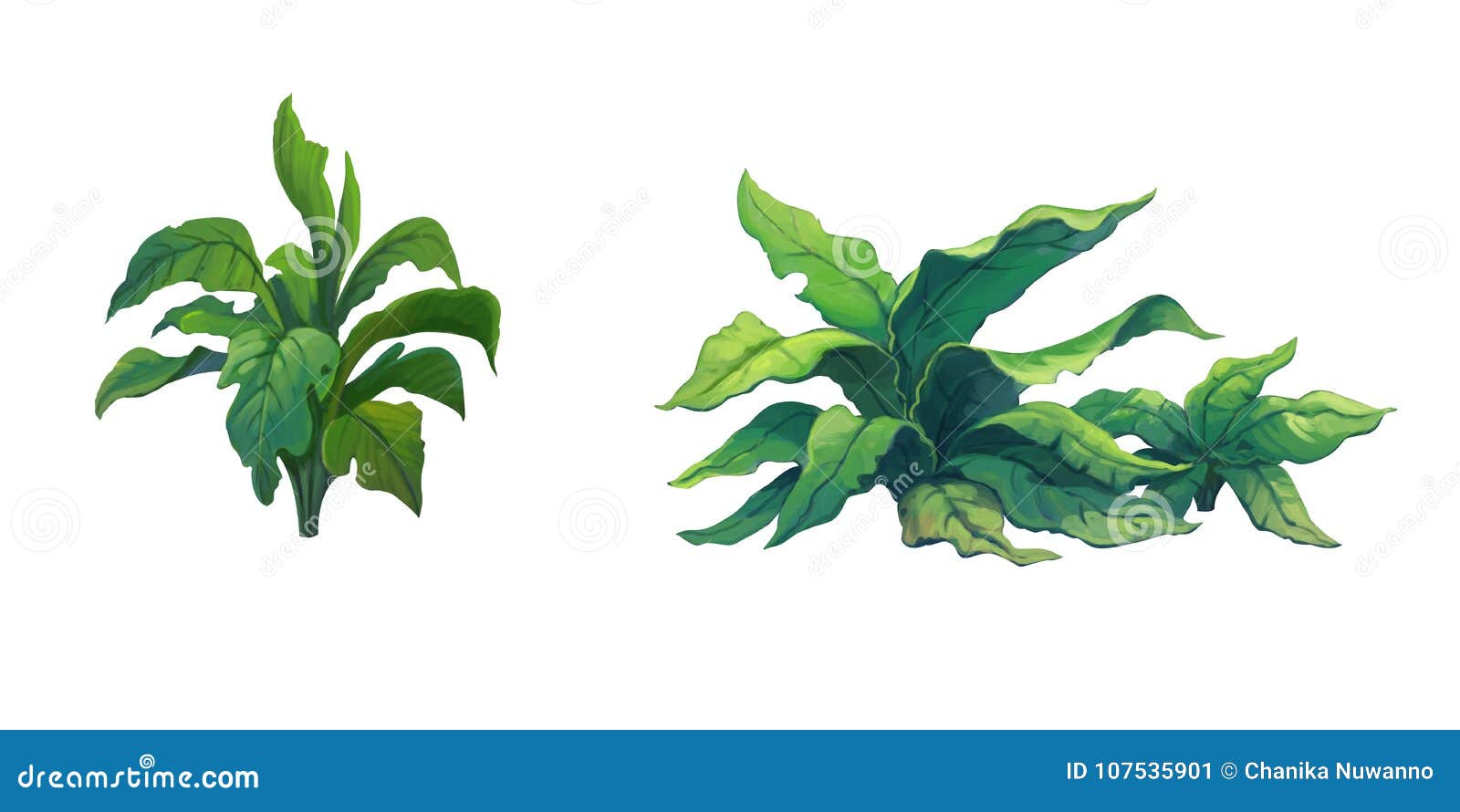 Illustration Shrub for Cartoon Isolated on White Background Stock