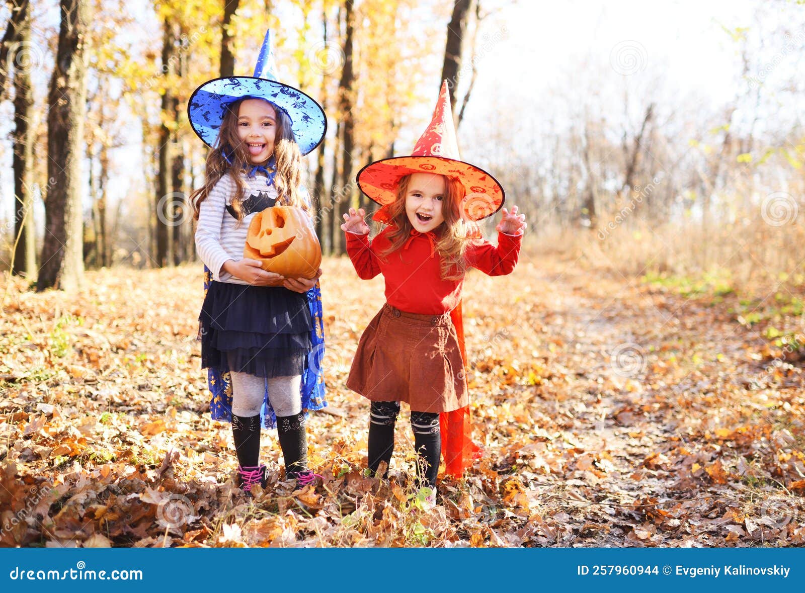 Little Sisters in Carnival Costumes of Witches with a Jack-o& X27 ...