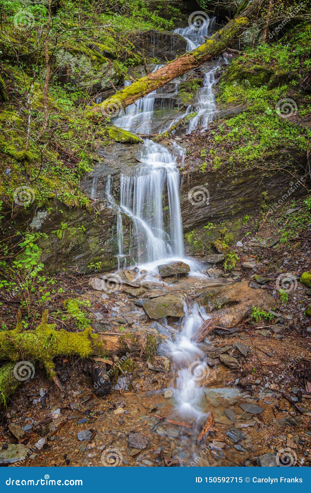 Little Smoky Mountain Waterfall in Spring Stock Image Image of
