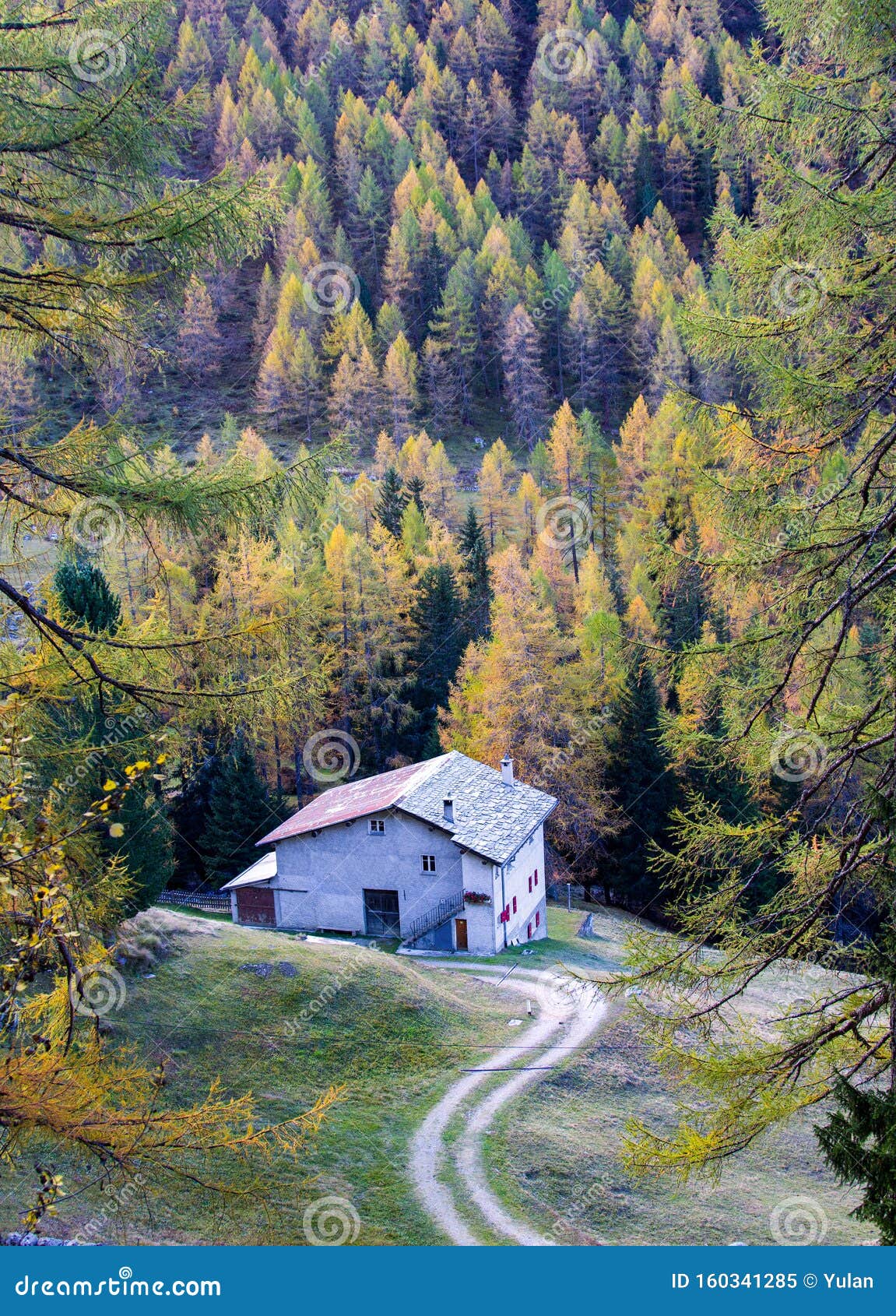 A Little Stone Roofed House In The Autumn Forest Stock Image Image Of Autunm Colorful