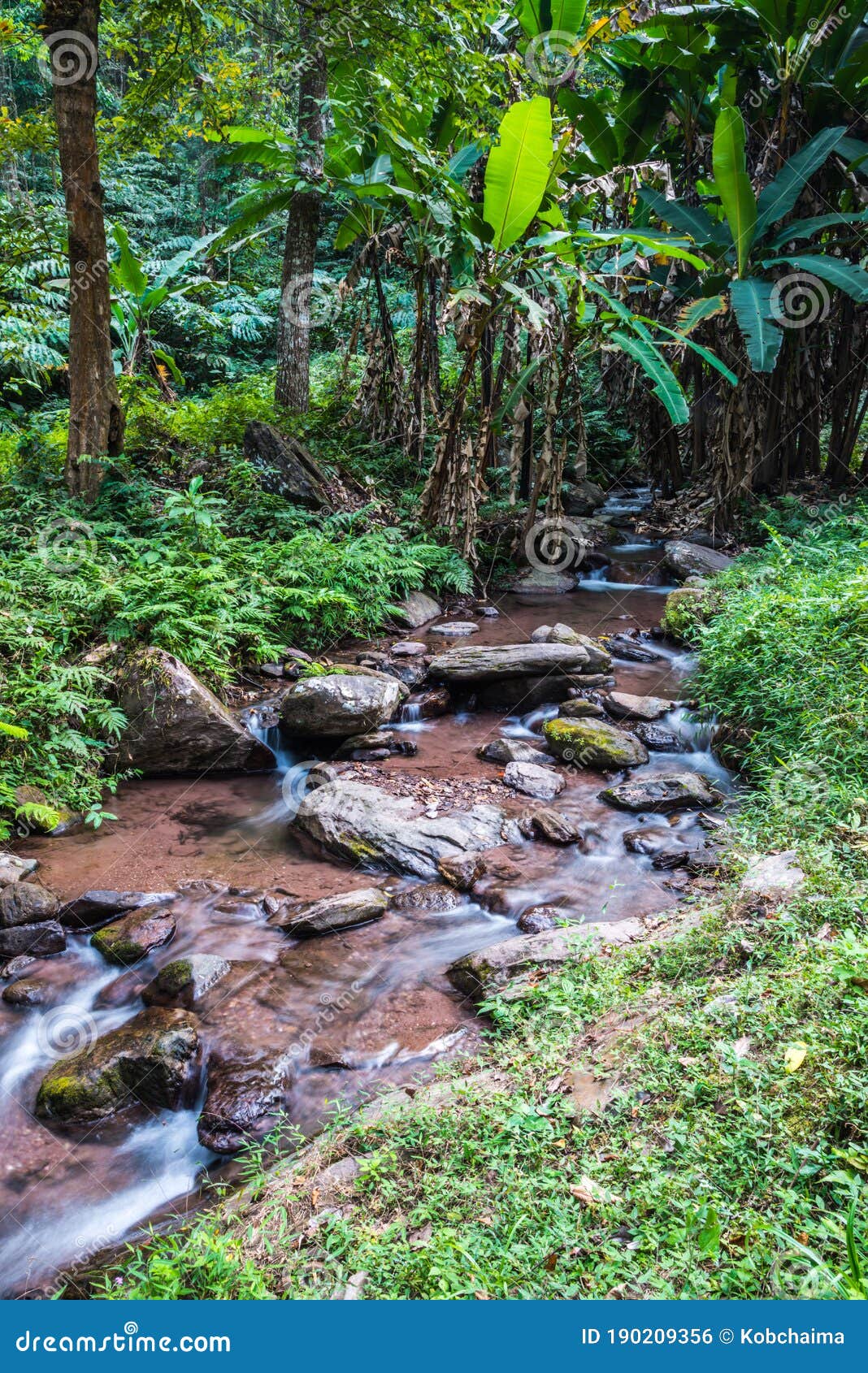 little stream at champa thong waterfall