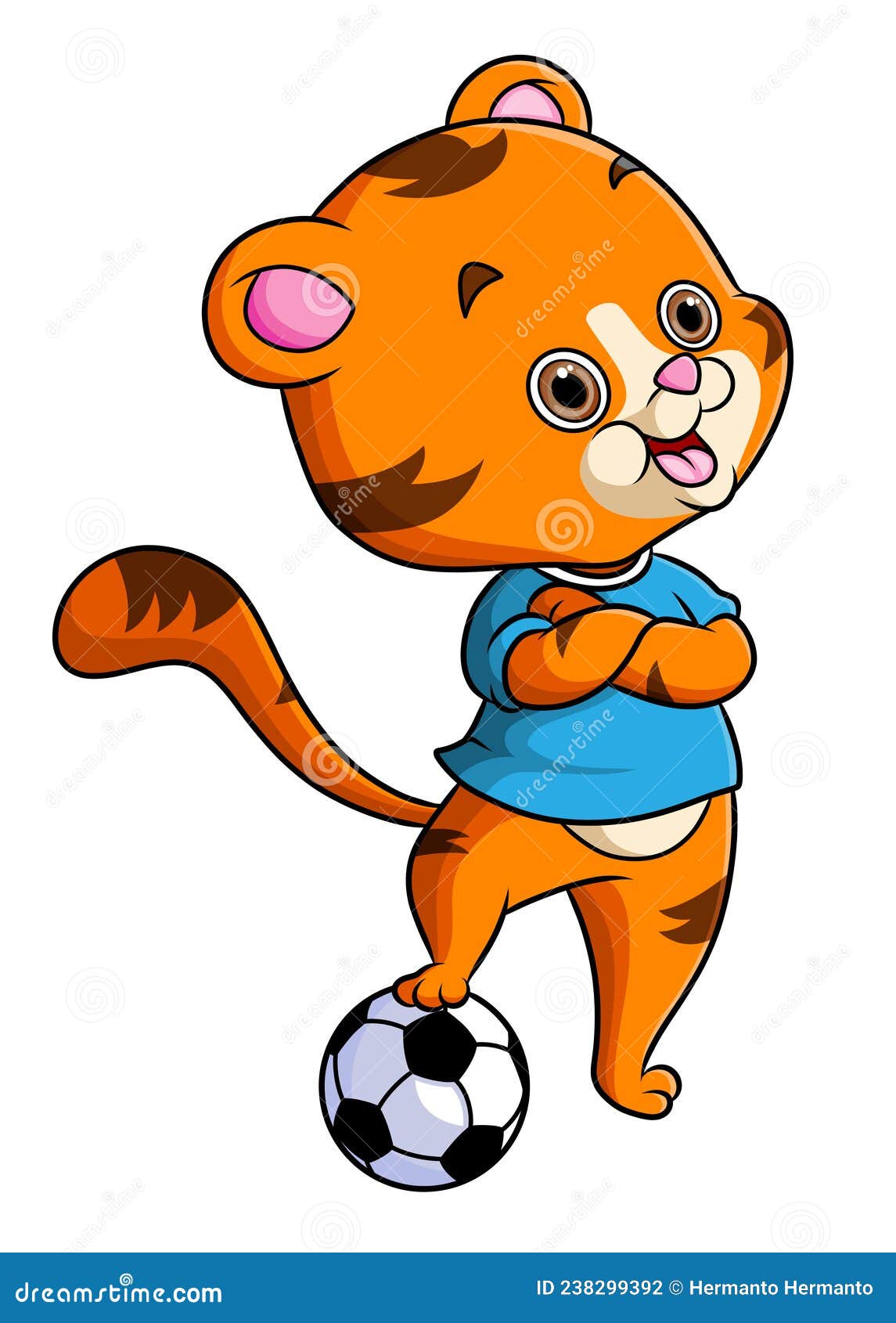 The Little Tiger is Playing the Football and Posing with the Cool Style ...