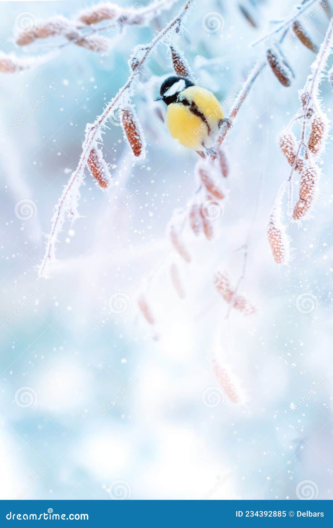 Little Tits in a Fairy-tale Snowy Forest. Christmas Image. Winter  Wonderland. Copy Space. Stock Image - Image of bird, magical: 234392885