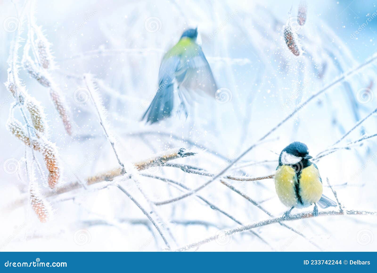 Little Tits in a Fairy-tale Snowy Forest. Christmas Image. Winter  Wonderland. Stock Photo - Image of horned, snow: 233742244