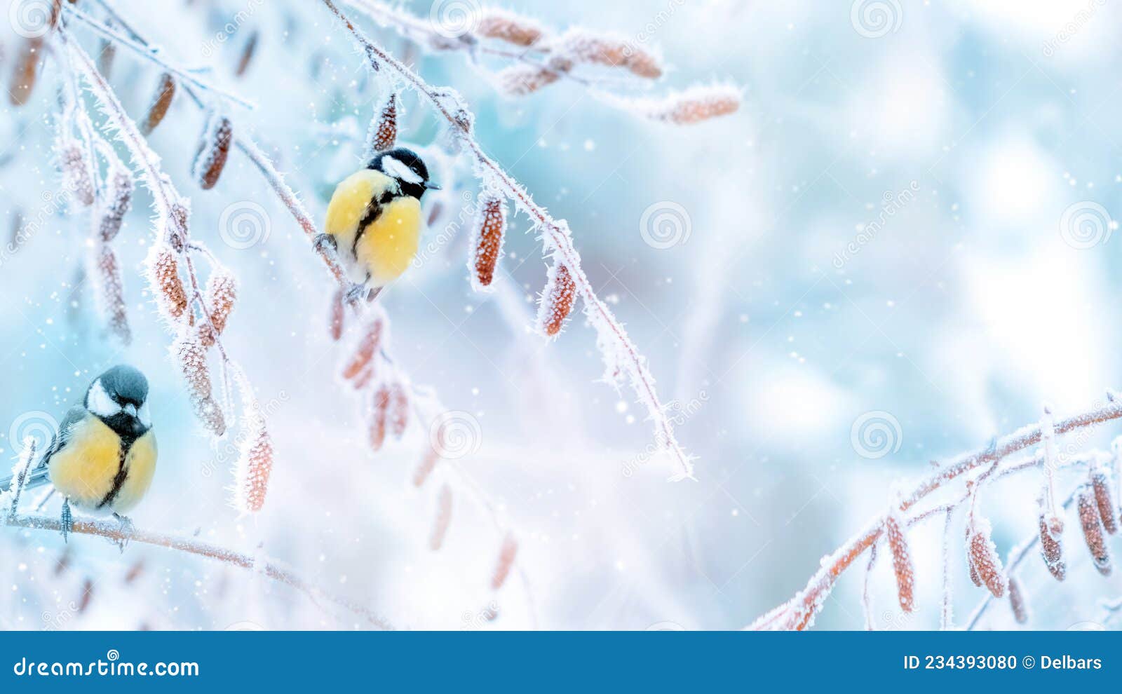 Little Tits in a Fairy-tale Snowy Forest. Christmas New Year Image. Winter  Wonderland. Stock Photo - Image of snowflake, bird: 234393080