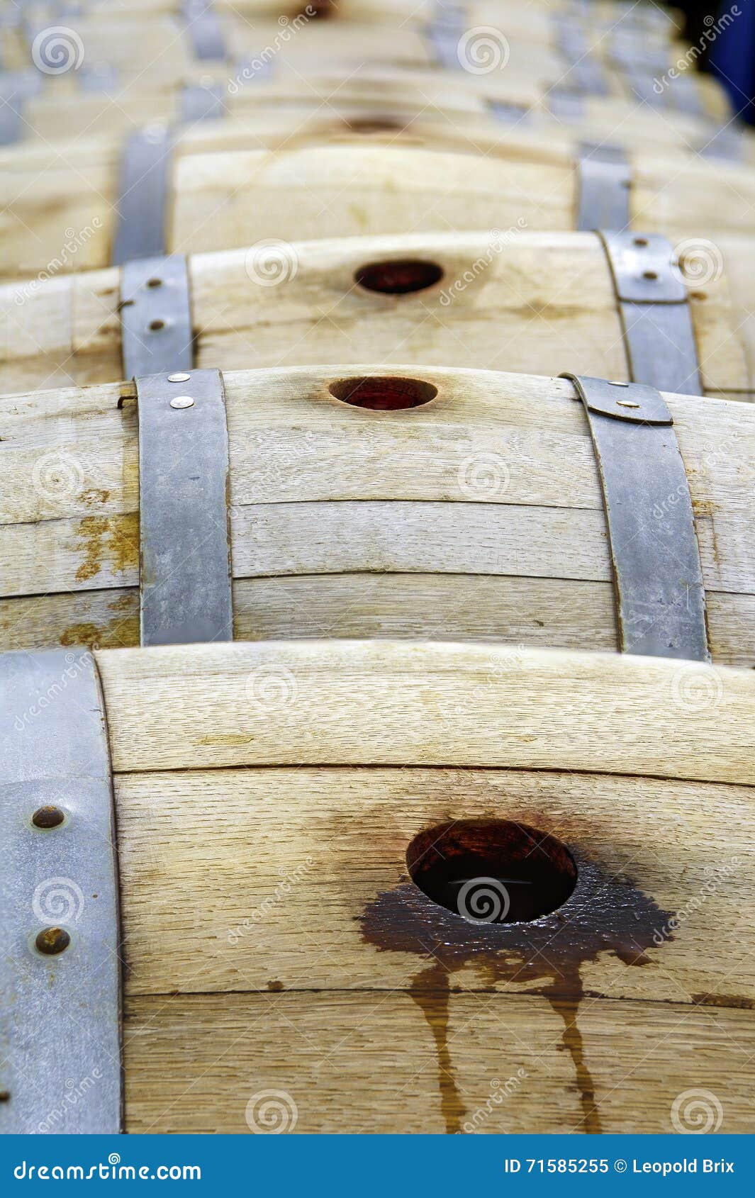 Little Wine Barrels Made from Oak Stock Image Image of barrel, pile
