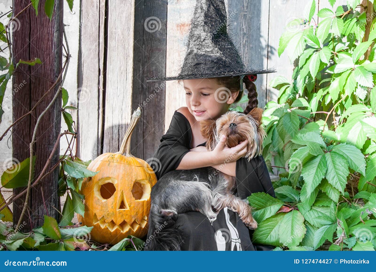 Download Little Witch With Halloween Pumpkin Stock Image - Image of ...