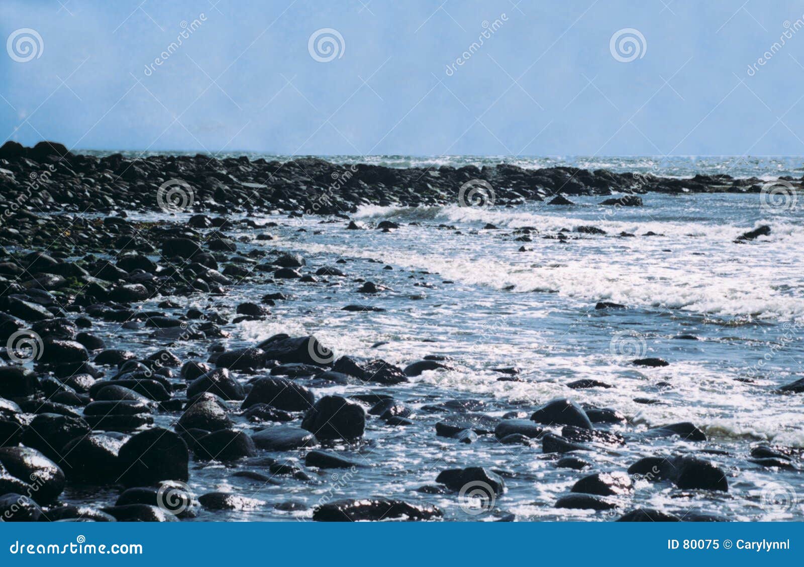 Littoral rocheux image stock. Image du surf, ondes, neuf 80075