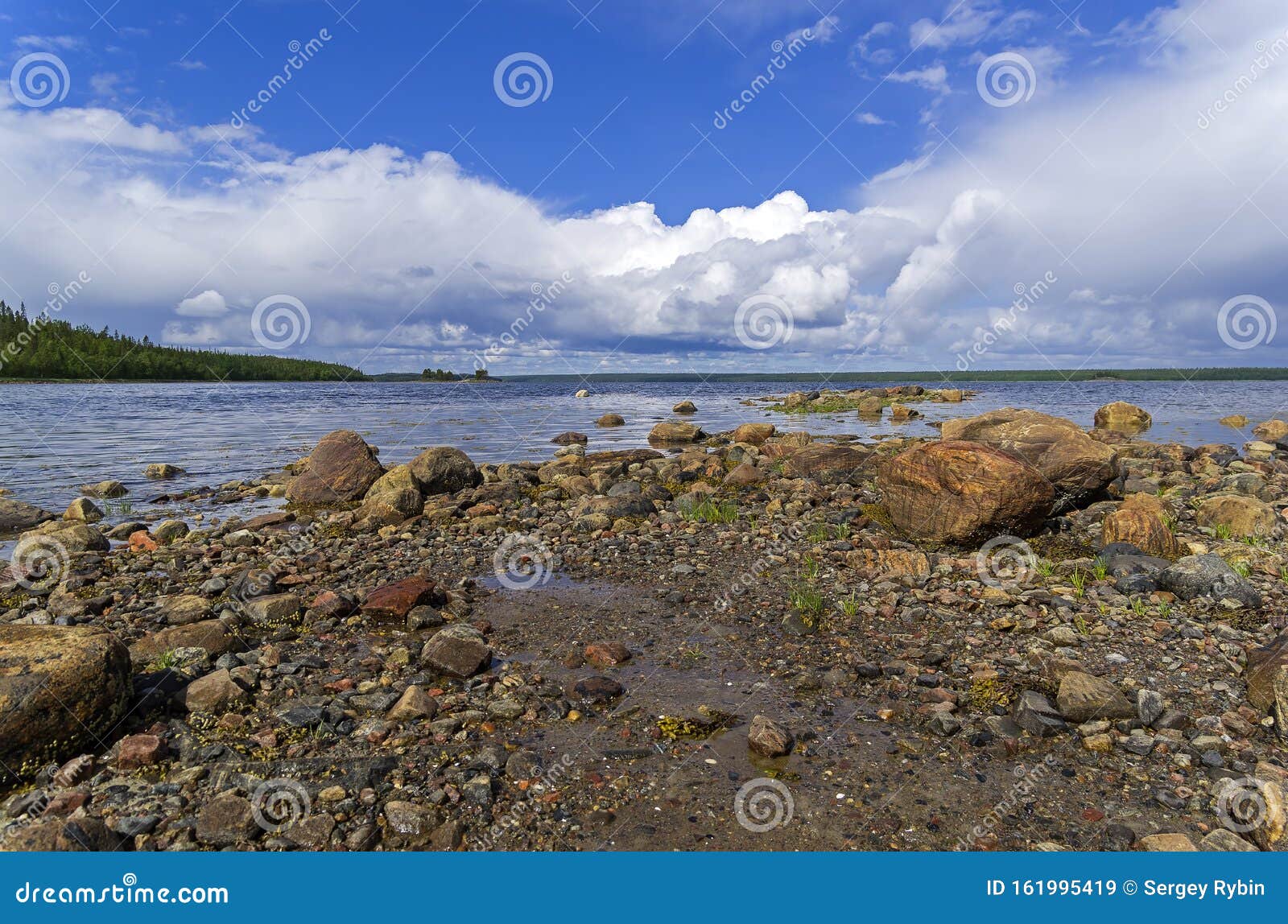 The Littoral Zone At Low Tide Stock Image Image Of Scenic Nearshore