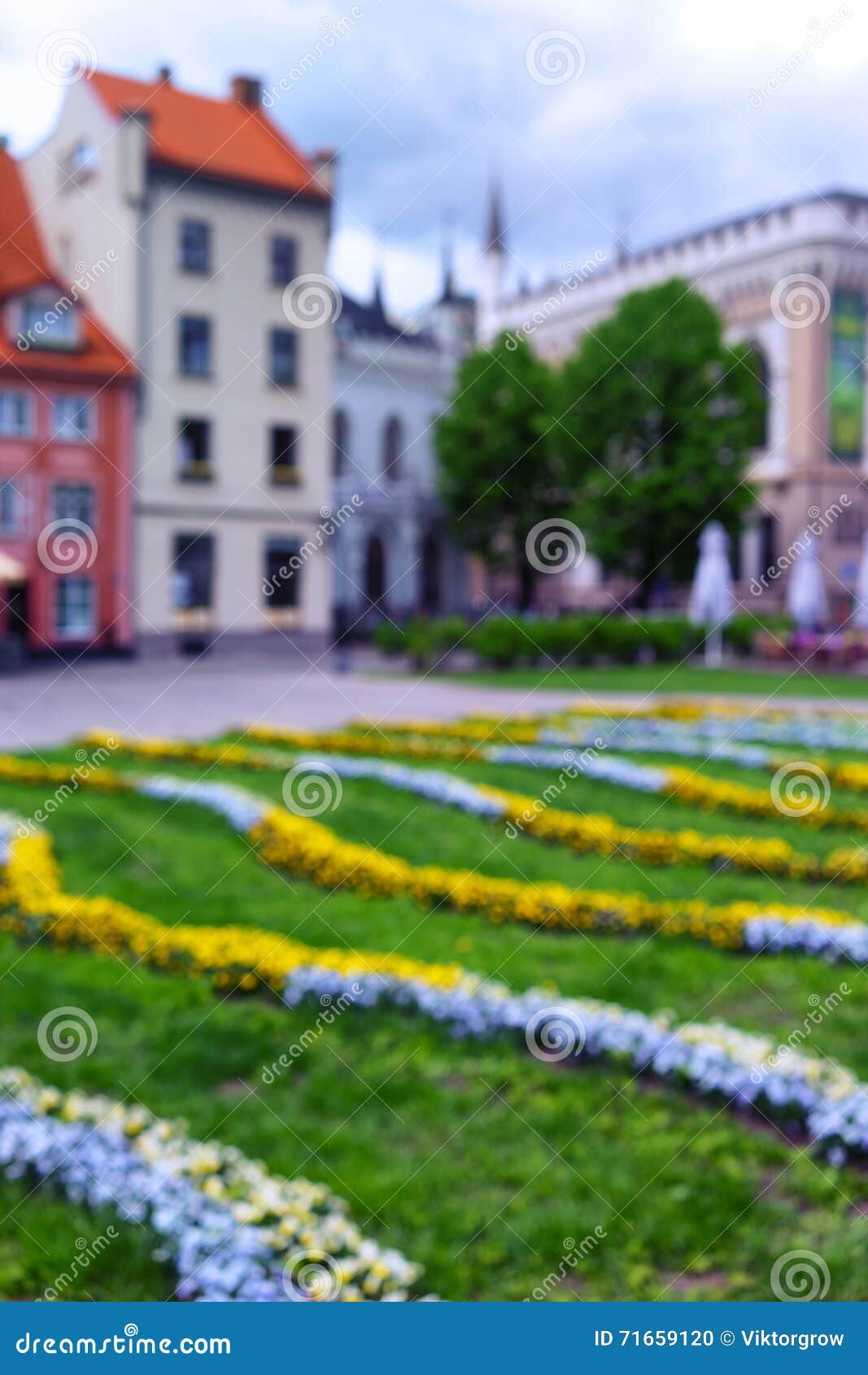 liv square in the old town of riga in spring. blurry